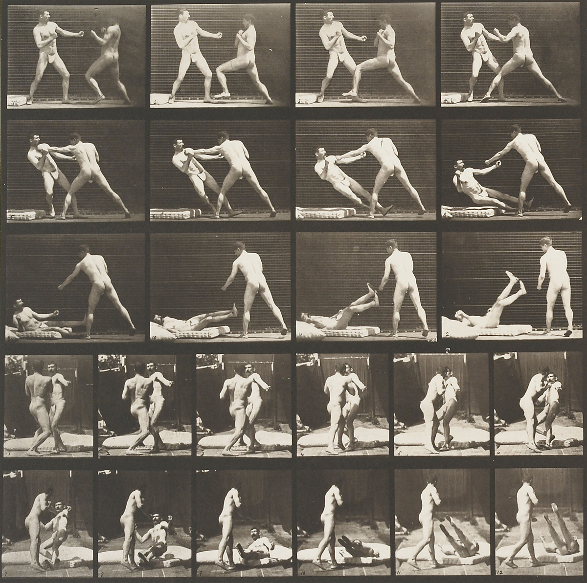 Exposed: Eadweard Muybridge and the Study of Motion