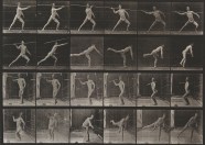 Exposed Eadweard Muybridge And The Study Of Motion The Heckscher 