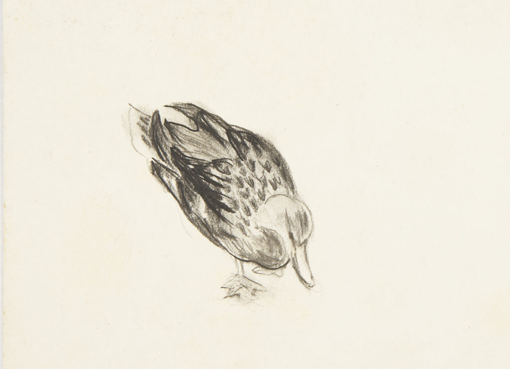 The Heckscher Museum of Art